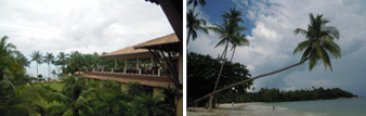 bali